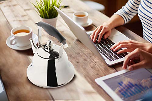 OMGard Whistling Tea Kettle with Infuser Loose Leaf Stainless Steel Teapot Teakettle for Stovetop Induction Stove Top Boiling Water Coffee Tea Pot Modern Cookware Mirror Finish 2-Liter 2.1-Quart