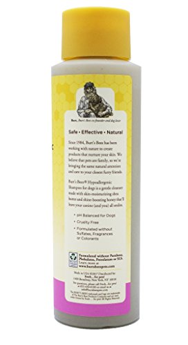 Burt's Bees For Dogs Sensitive Skin Shampoo & Conditioner