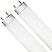 LUXRITE F32T8/765 32W 48 Inch T8 Fluorescent Tube Light Bulb, 6500K Daylight White, 2650 Lumens, G13 Medium Bi-Pin Base, LR20735, 2-Pack