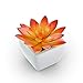 Mini Fake Succulents Artificial Plants X Large Shoe Organizer Storage Boxes for Closet, Modular Space Saving Shoe Boxes Clear Plastic Stackable Sneaker Containers Display Case with Lids, Gray