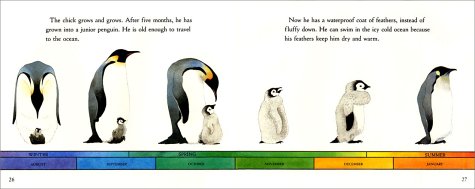 Penguin chick third grade reading streets lesson Penguin chick third grade reading streets lesson