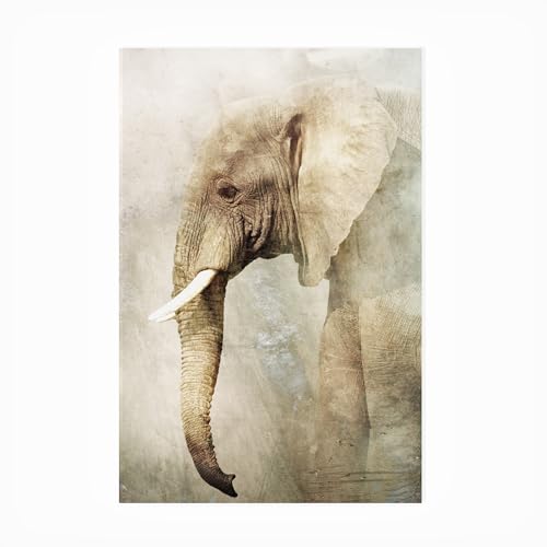 Trademark Fine Art Outdoor Canvas Art - Antonio Grambone 'Untitled' Wall Art fo…