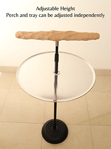 Parrot Training Perch Stand With Potty Tray (Large T Perch)