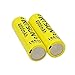 INTSUN 2pcs 3.7V 18650 4000mah Rechargeable Li-ion Battery with PCB and 18650 battery Charger for LED Flashlight, Headlamps, search light lamp, etc