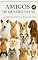 Livro Amigos de Quatro Patas: O Grande Livro das diferentes Raças de Cachorros Livro para crianças