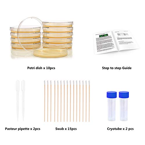 Bacteria Science Kit Petri Dishes with Agar and Swabs Top Science