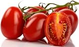 300+ Roma Tomato Seeds - Heirloom Non-GMO USA Grown