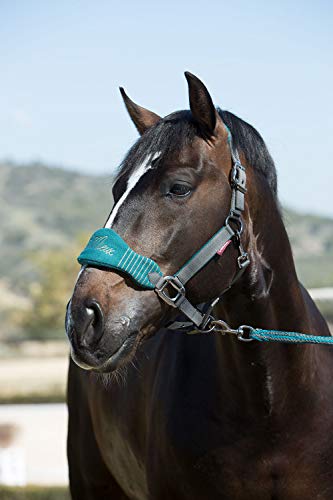 LeMieux Vogue Fleece Hoofdband met Loodtouw - Extra padding, Verstelbaar aan stoeprand en Poll Strap - Afbeelding 3