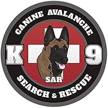malinois dog rescue