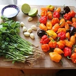 Eden Brothers Hot Pepper Seeds - Jamaican Hot Yellow