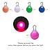 Clip on Dog Collar LED Lights - SySrion Safety Dog Collar 5 Pack Bundle (White + Green + Rose Red + Orange + Blue Safety Light) - Stainless Steel Carabiner Clasp - Water Resistant & Batteries Included
