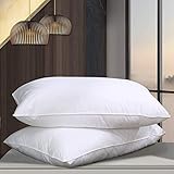 Cosydown Goose Down Alternative Pillows （2 Pack,Queen Soft） 100% Egyptian Cotton with Microfiber Filling Sleep Pillow,Washable