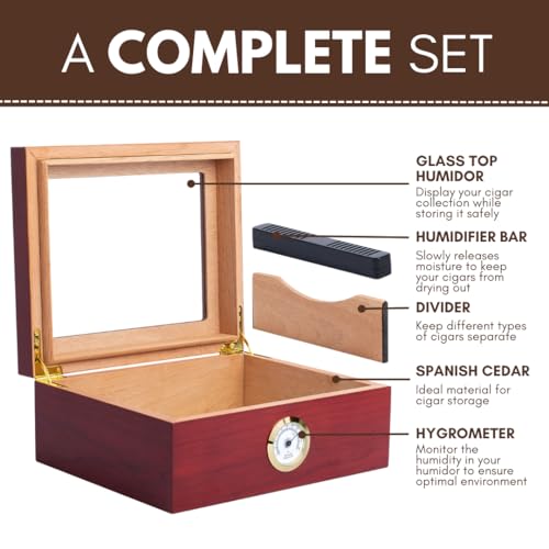 Mantello Cigars Humidors, Royal GlassTop Cigar Humidor, Cigar Box for