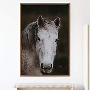 signwin Framed Canvas Wall Art Horse Animals Dramatic...