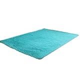 KLOUD City Super Soft Modern Shag Area Rugs Living Room Carpet Bedroom Rug for Children Play Solid Home Decorator Floor Rug and Carpets (50 x 80 cm, Sky Blue)