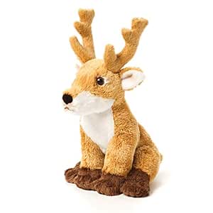 teddy deer