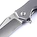 KIZER Cutlery Folding Pocket Knives Clip Point Blade Flipper Knife Frame Lock Titanium Handles Flipper Knife, Uprising Ki4491A1