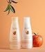 Live Clean Conditioner, Ultra Light Apple Cider, 12 Oz