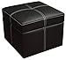 Ameriwood Home DHP Delaney Small Square Ottoman with Storage, Rich Faux Leather, Black