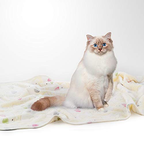 Pet Soft 1 Pack 3 Blankets Dog Blankets Small Fluffy Cats Dogs