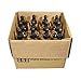 (Pack of 12) 2 oz. Clear Boston Round with Black Glass Dropper