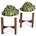 kimisty 5 inch Set of 2 Mid Century Modern Succulent Flower Pots with Wood Stands, Hidden Saucers, White Ceramic, Shelf Decor, Cactus Containers with Drainage (Plants Not Included)