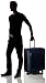 Victorinox Werks Traveler 5.0 WT Softside Spinner Luggage, Navy Blue, Checked-Large (27