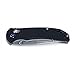 Ganzo G7531 Folding Pocket Knife 440C Stainless Steel Blade G10 Anti-Slip Handle with Clip Hunting Fishing Camping Folder Outdoor EDC Knife (Black)