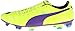 PUMA Men's evoPOWER 2 Firm Ground Soccer Shoe