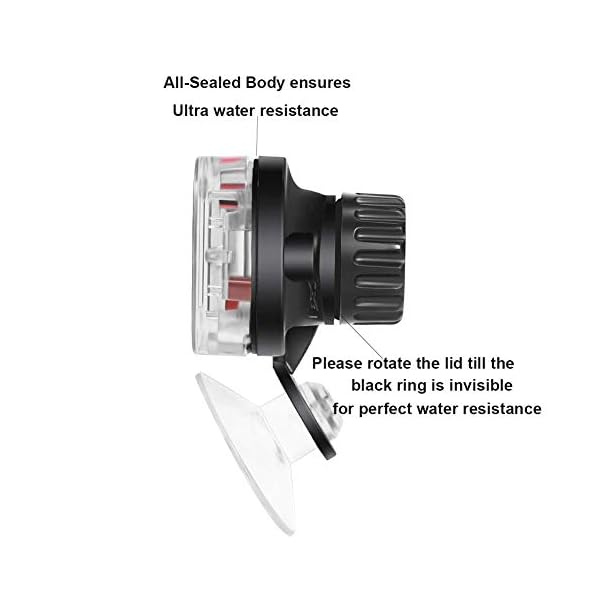 INRIGOROUS-Aquarium-Thermometer-LCD-Digital-Waterproof-Thermometer-with-Suction-Cup-Fish-Tank-Water-Temperature-Thermometer-for-Fish-Tank-Aquarium-1-Pcs INRIGOROUS Aquarium Thermometer LCD Digital Waterproof Thermometer with Suction Cup Fish Tank Water Temperature…