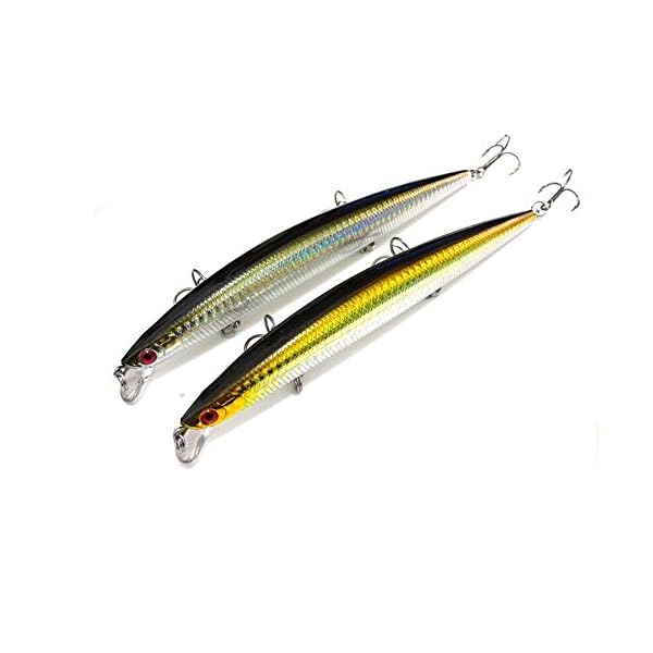 Goture-Hard-Fishing-Bait-2-Pieces-Lure-Minnow-17cm27g-Floating-Lures-for-Saltwater