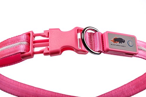Blazin' Safety LED Dog Collar - USB Rechargeable with Water Resistant Flashing Light - Medium Pink