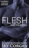 Flesh: Part Fourteen (The Flesh Series Book 14)