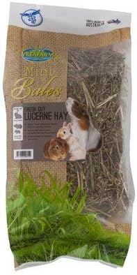 lucerne hay for guinea pigs
