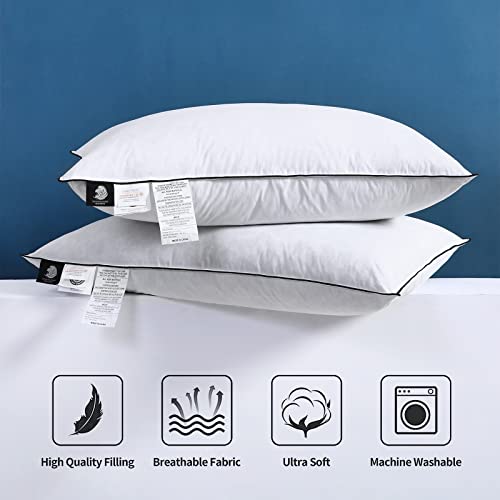 BPC Goose Down Feather Pillows Down Pillows Queen Size Set of 2 for