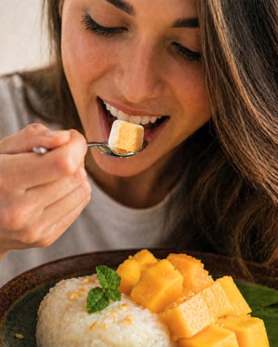 Rype Freeze Dried Mango Sticky Rice – Healthy and Authentic Thai Dessert, Bite-sized dessert, Vegan, Gluten-Free, Convenient Snack