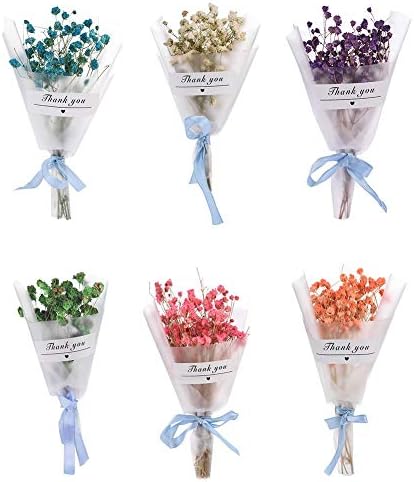 Starry Dried Flower Mini Natural Diy Craft Sky Stars For Photographing Tools Interior Trinkets Hand Gifts Wedding Decorations Flowers Fake Gypsophila Living Room Baby Decorated