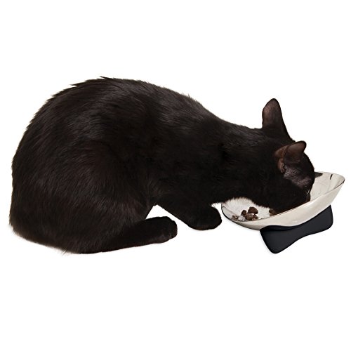 Petmate Jackson Galaxy Nova Stainless Steel Cat Bowl Pricepulse