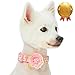 Blueberry Pet 2019 New 4 Patterns Adjustable Flocking Dog Collar with Artificial Silk Flower – Polka Dot in Baby Pink, Small, Neck 12″-16″thumb 2