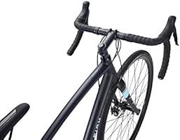 raleigh bikes willard 1