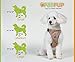 Comfortable & Adjustable Dog Harness by PetPup | Medium Size - Gray Color | Reflective | Safety Car Harness for Dogs | Easy Walk Dog Harness | Lightweight & Breathable Safety Strap Harness for Dogs