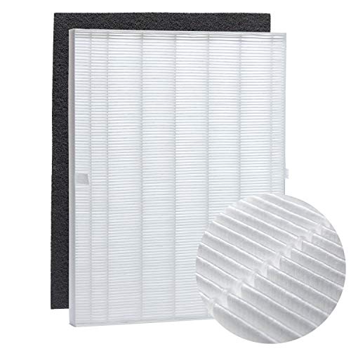 Winix 115115 Replacement Filter A (Certified Refurbished)