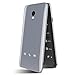 BLU Diva Flip - Factory Unlocked Phone - Retail Packaging - Silver