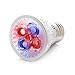 RubyLux 2nd Generation Red & Blue LED Bulb Size Small