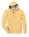Hanes mens 7.2 oz. Nano Pullover Hood (N270)