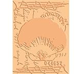Cuttlebug A2 Embossing Folder-Shell Collage