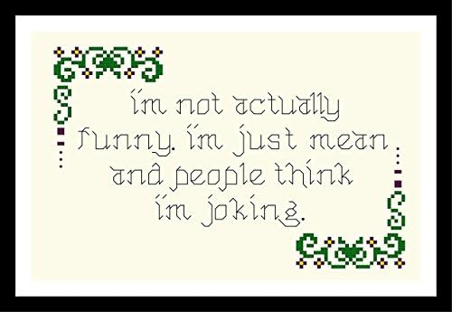 Counted Cross Stitch Kit. I'm not actually funny. I'm just mean and people think I'm joking.