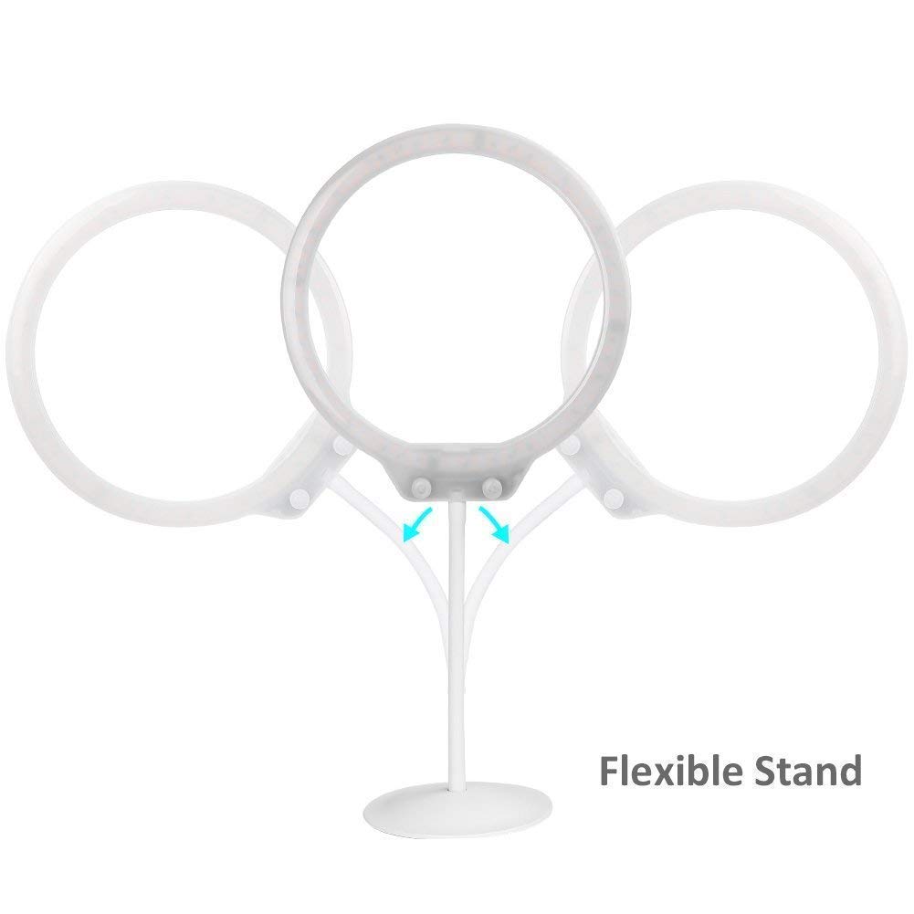 ZOMEI 10 Inch LED Tabletop Ring Light for Makeup with Mirror, Phone Holder, Hot Shoe (White)