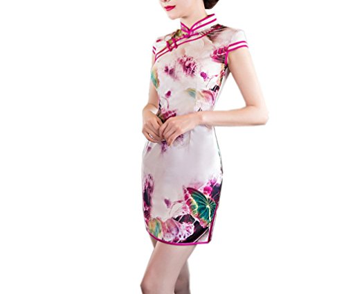 XueXian(TM) Women's Summer Stand Collar Chinese Style Short Qipao Dress