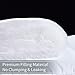 OHAPPES Queen/Full Comforter Soft Goose Down Alternative Duvet Insert for Winter, 8 Corner Loops, Warm Fluffy All Season Hotel Collection, 88 X 88 Inches, White